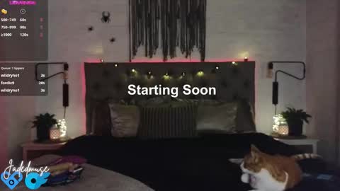 Jade online show from October 31, 8:13 pm