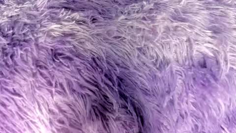 jadeestudios online show from October 20, 3:20 am