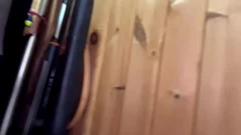 Sonya online show from November 27, 7:00 am