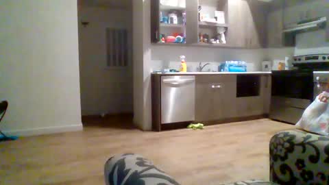 juicylatinabbw online show from March 26, 2:03 am