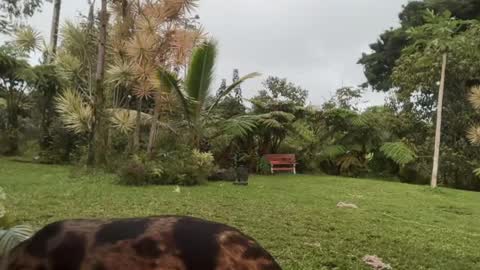 Kailee Smile online show from March 5, 4:30 am