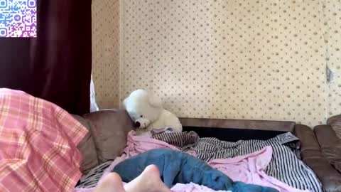 Elizabeth online show from February 11, 11:44 am