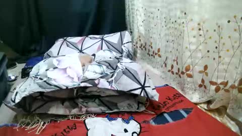 jeanny online show from March 15, 7:54 am