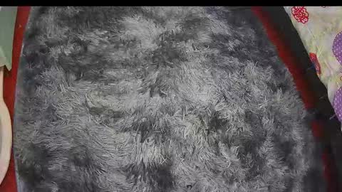 Keyla online show from February 20, 6:26 am