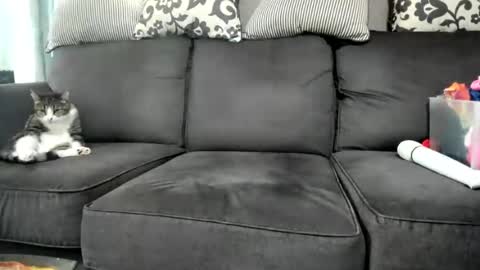 Kinky online show from June 15, 10:48 am