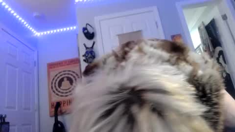 Snapshot of kinkypinkyplay2 chatting on January 30, 6:00 pm Kinky Pinky online show from January 30, 6:00 pm