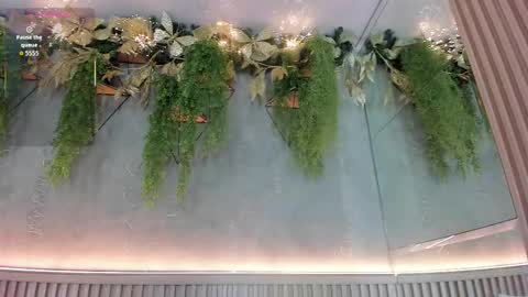 lana_lann online show from December 17, 12:09 pm