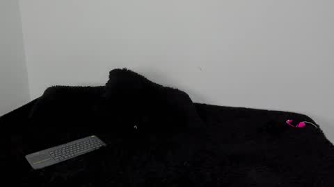 laurensmith9 online show from October 14, 12:41 pm