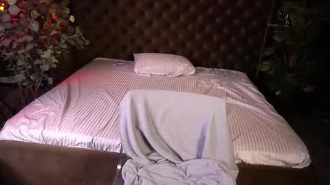 liviashy online show from February 4, 7:00 am