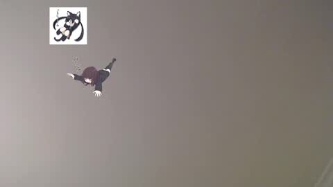 nefisa nef online show from March 2, 12:31 am