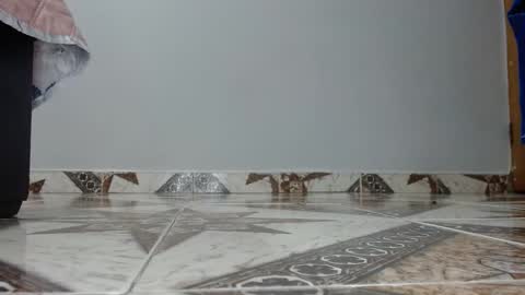 Luna--Blueberry online show from December 14, 4:40 am