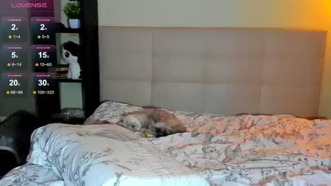 Hi everyone my name is Tina   online show from July 20, 11:27 pm