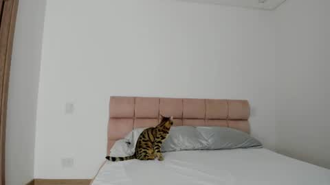 mara modelo independiente online show from June 17, 4:58 am