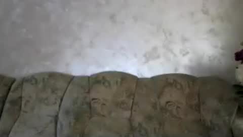 Melly online show from July 26, 7:49 am