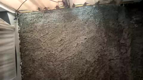 melodysnow online show from January 15, 6:14 pm