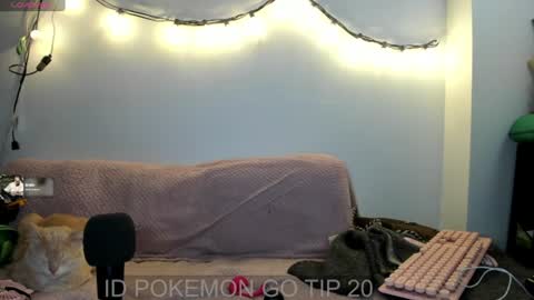 meowmelf online show from July 30, 11:05 pm