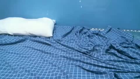 Caddy online show from December 18, 9:47 am