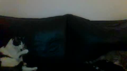 MilaGabor online show from March 16, 8:35 pm