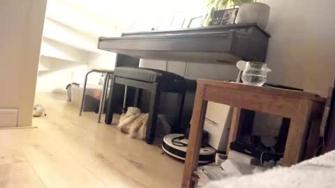 Milu online show from March 5, 3:40 am