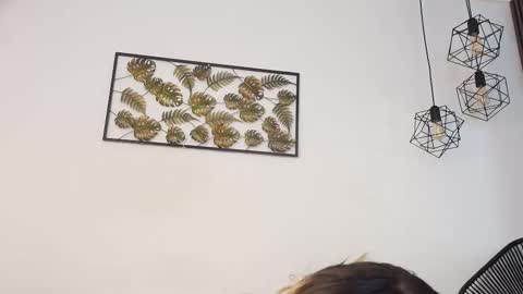 Miranda online show from October 1, 12:54 pm