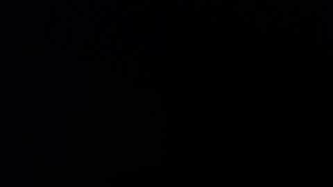 Stacey online show from November 12, 11:52 am