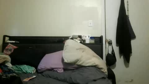 miztrezk online show from February 7, 12:53 pm