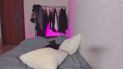 Snapshot of mollydangerous chatting on February 26, 4:05 pm Taisha online show from February 26, 4:05 pm