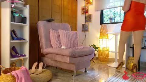 Edha online show from June 16, 3:02 pm