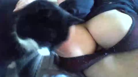 mslany online show from January 7, 1:36 pm