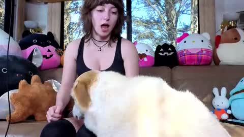 mymindbreaks online show from December 19, 8:23 pm