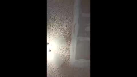 natibabi online show from April 4, 11:03 pm