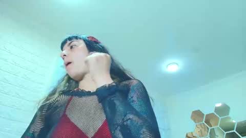 Kitten online show from November 26, 11:55 am