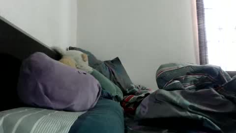 Star  online show from February 3, 10:23 pm