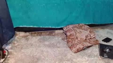  Anna Nicole  online show from February 11, 4:52 pm