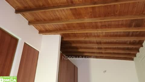 Nicoll  Independent model online show from October 26, 7:59 am