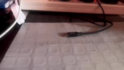 Evelyn online show from March 12, 11:57 am