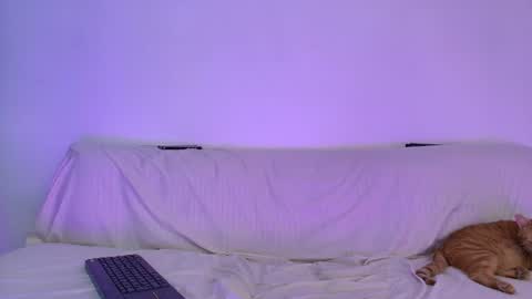nikki_uwu online show from June 12, 8:17 pm