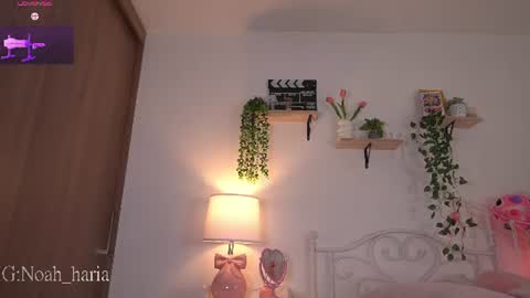 noah__23 online show from June 20, 11:08 pm
