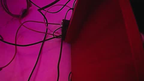 noise_lux online show from February 25, 3:21 pm