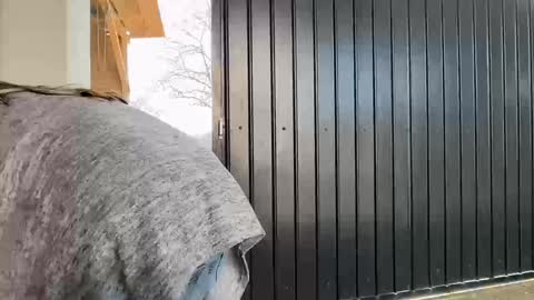 Nicol online show from March 13, 8:37 am