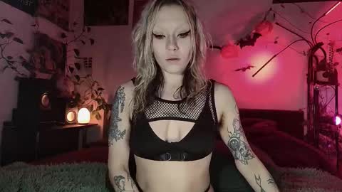 Olive online show from November 3, 1:37 pm