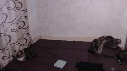 Olivia online show from May 3, 2:26 am