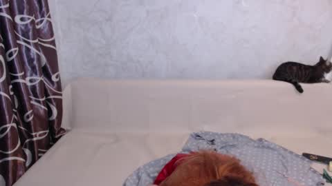 Olivia online show from September 14, 1:47 am