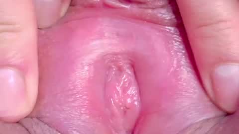 orchidekitty online show from June 11, 1:16 am