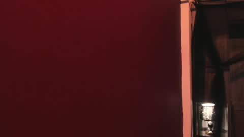  P A M  online show from February 6, 4:05 am