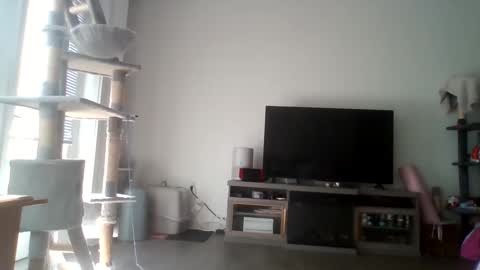 Snapshot of parisbaby2000 chatting on October 1, 2:44 pm parisbaby2000 online show from October 1, 2:44 pm