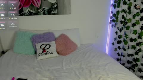 Snapshot of pau_delima__ chatting on December 28, 12:47 am paulina online show from December 28, 12:47 am