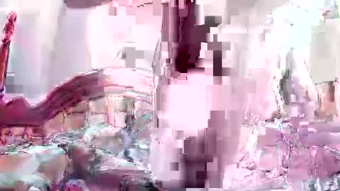 Coco channel  online show from January 14, 7:06 am