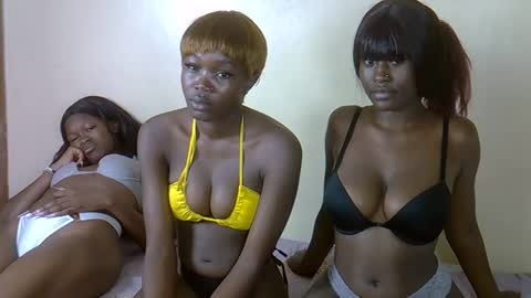 Cookie online show from March 14, 2:45 am