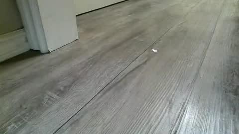 Petitedoll30 online show from March 11, 5:11 am